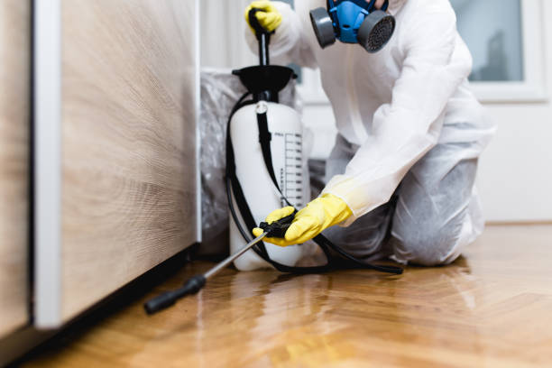Best Pest Control Treatment  in Saddle Rock, NY