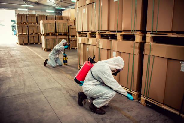 Best Emergency Pest Control  in Saddle Rock, NY