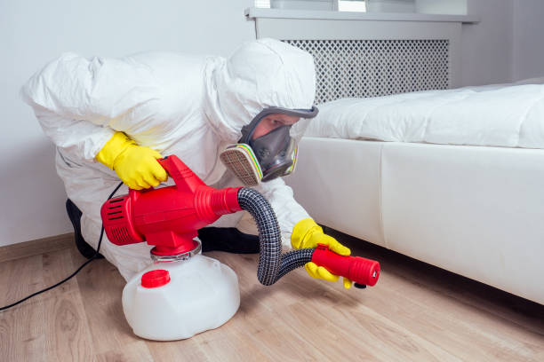 Best Flea Control Services  in Saddle Rock, NY