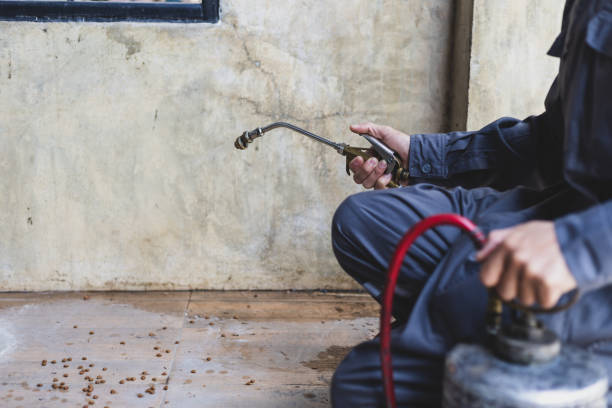 Best Mosquito Control Services  in Saddle Rock, NY